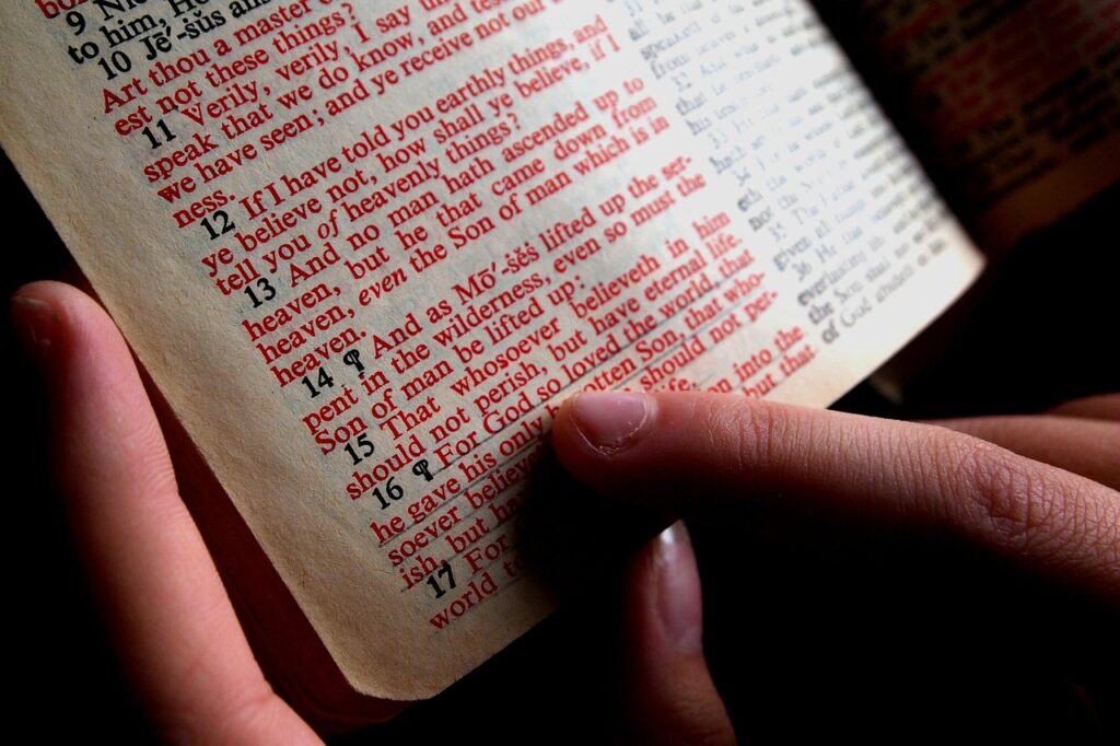 bible, bible study, hand, assign, read, christian, study, bible, bible, bible, bible, bible, bible study, bible study, bible study