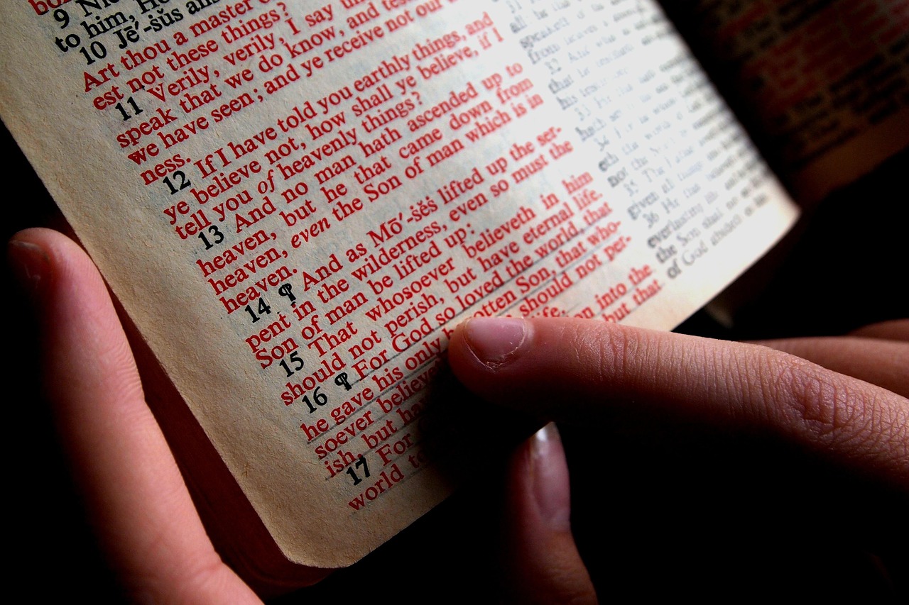 bible, bible study, hand, assign, read, christian, study, bible, bible, bible, bible, bible, bible study, bible study, bible study